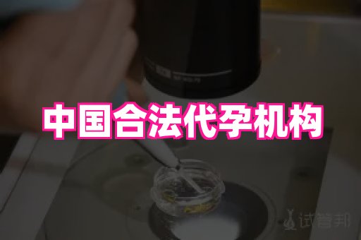 杭州助孕网站 2