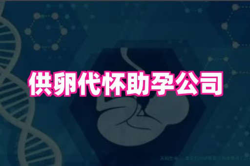 杭州助孕网站 3