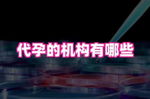 杭州助孕网站 4